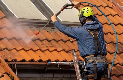 Démoussage et hydrofuge de toiture à Izenave